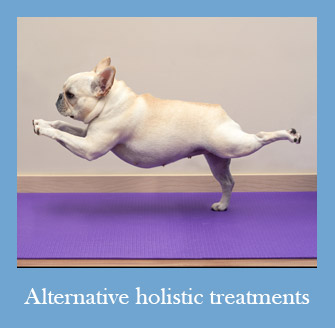 Holistic Pet Care